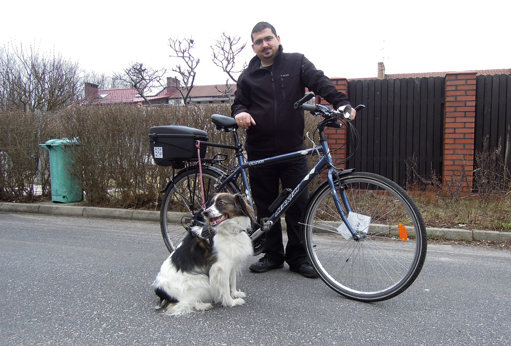 Pies na Springerze przy rowerze