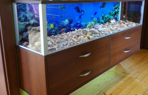 Suche akwarium, czyli drugi żywot starej komody