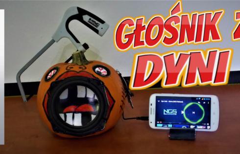 Głośnik z Dyni. Czy to Możliwe????????