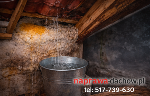 Jak rozpoznać ukryty przeciek dachu